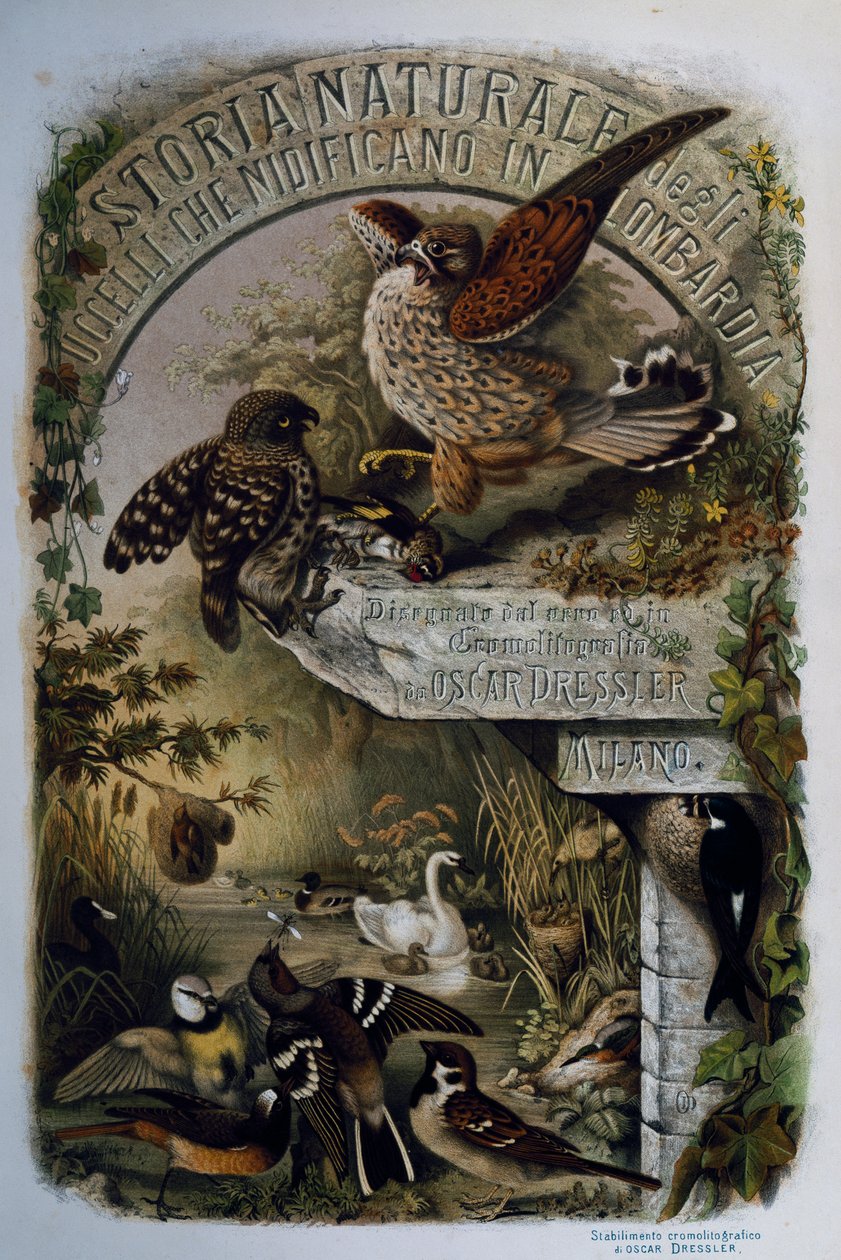 Pagina del titolo di Storia naturale degli uccelli che nidificano in Lombardia, di Eugenio Bettoni, incisione di Oscar Dressler da Eugenio Bettoni, Oscar Dressler