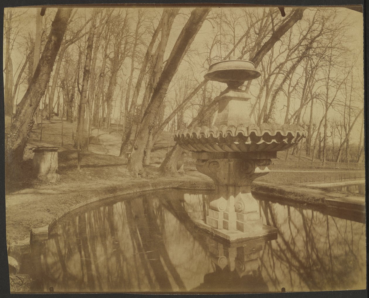 Parco di Saint Cloud (Parco di Saint Cloud) da Eugène Atget