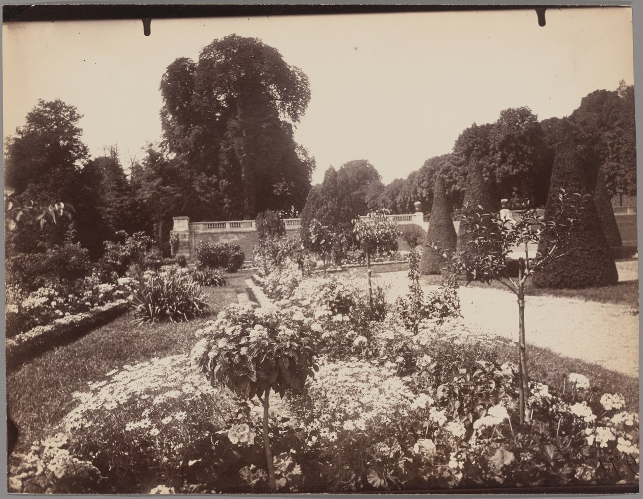 Saint-Cloud da Eugène Atget
