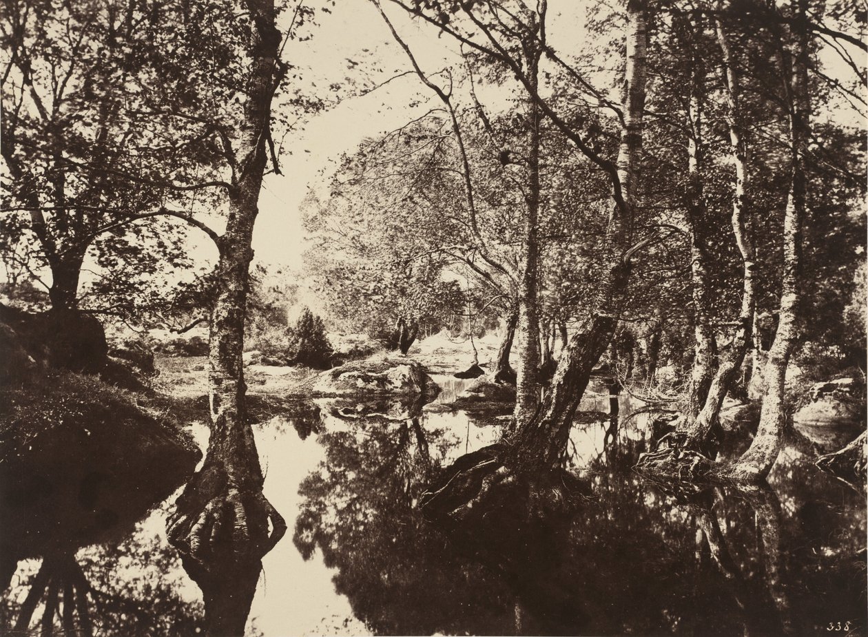 Belle-Croix, 1860 (foto) da Eugène Cuvelier