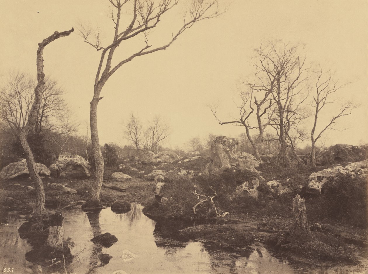 Belle Croix, c. 1858 da Eugène Cuvelier