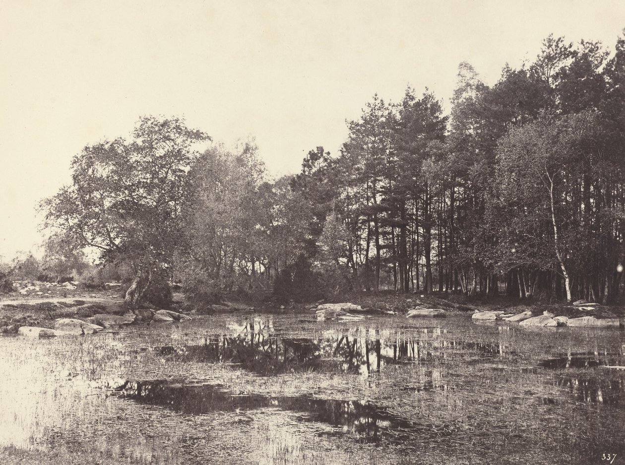 Palude a Piat Belle-Croix Plateau da Eugène Cuvelier