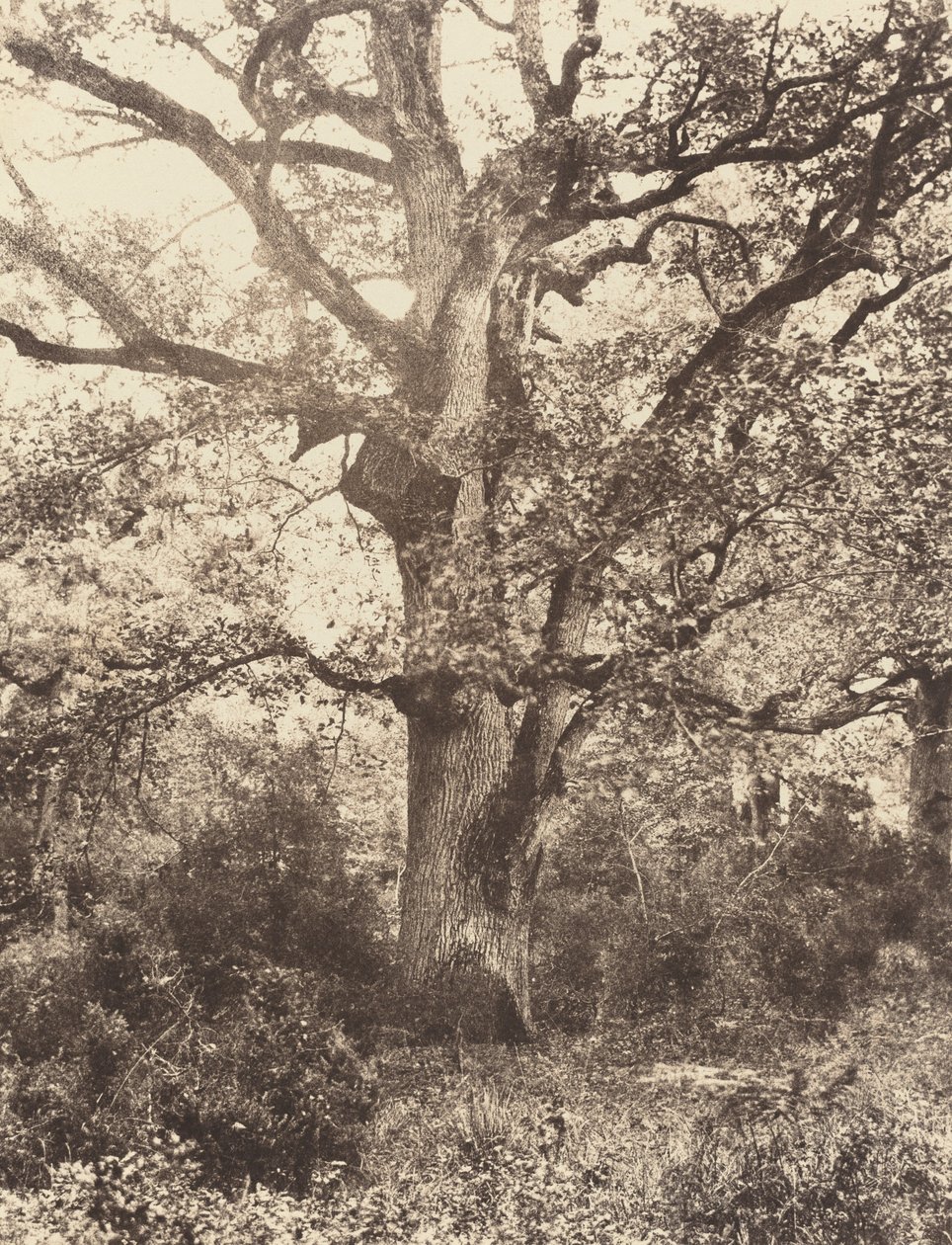 Vicino al Bodmer da Eugène Cuvelier