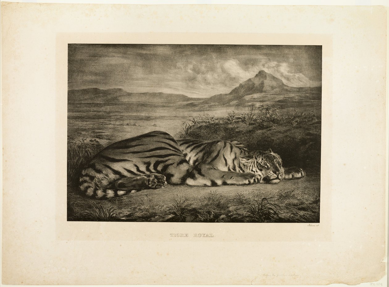 Tigre del Bengala da Eugène Delacroix