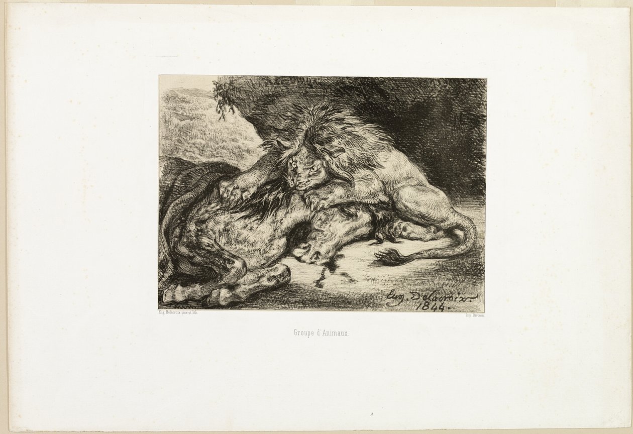 Leone che divora un cavallo da Eugène Delacroix