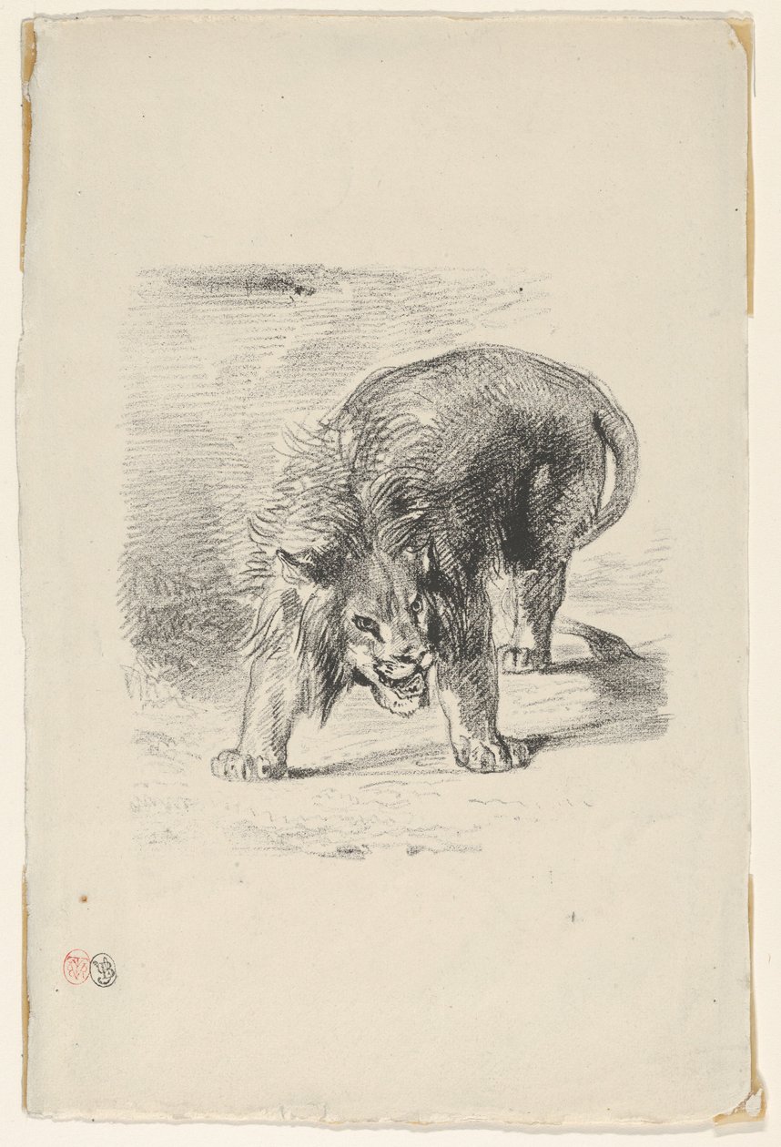 Leone in piedi, 1833 da Eugène Delacroix