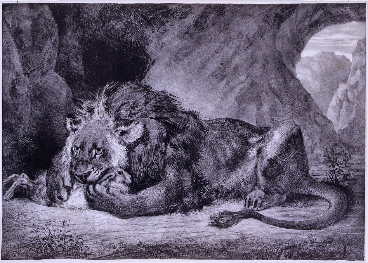 Leone dell