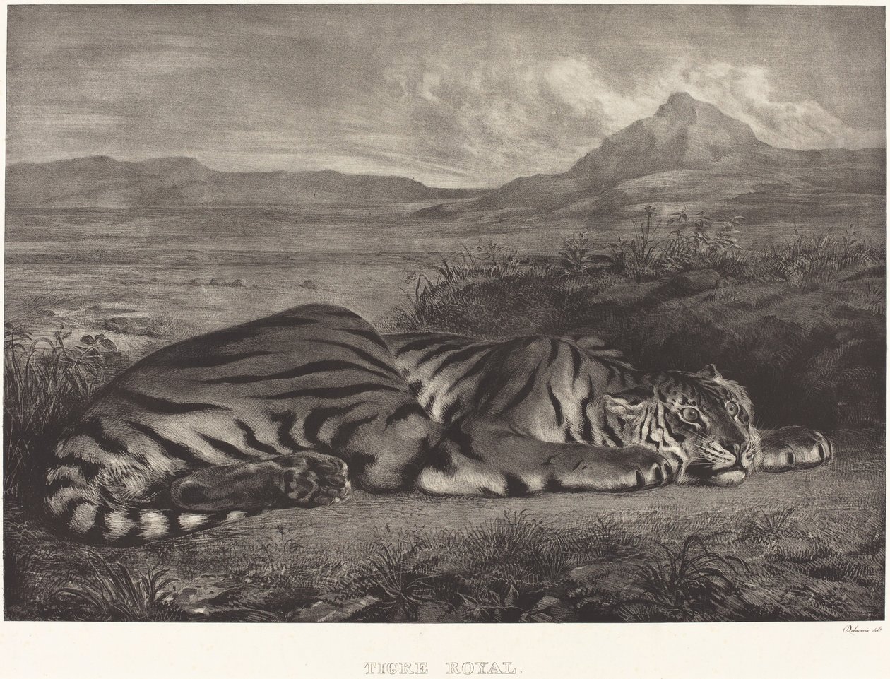 Tigre reale da Eugène Delacroix