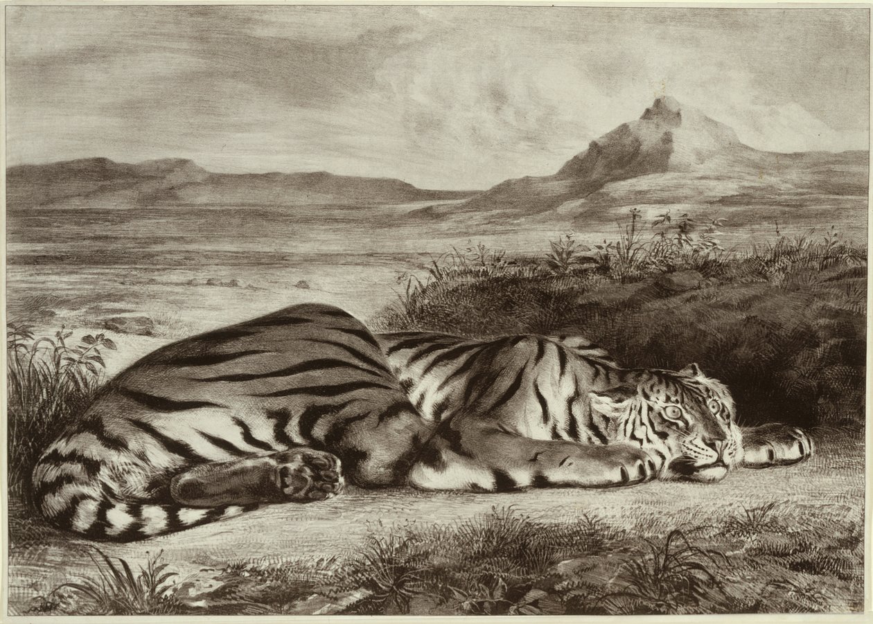 Tigre Reale da Eugène Delacroix