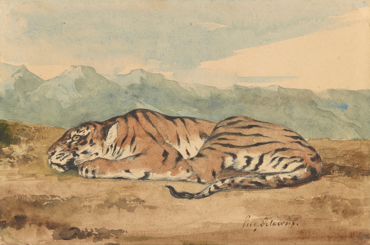 Tigre Reale da Eugène Delacroix