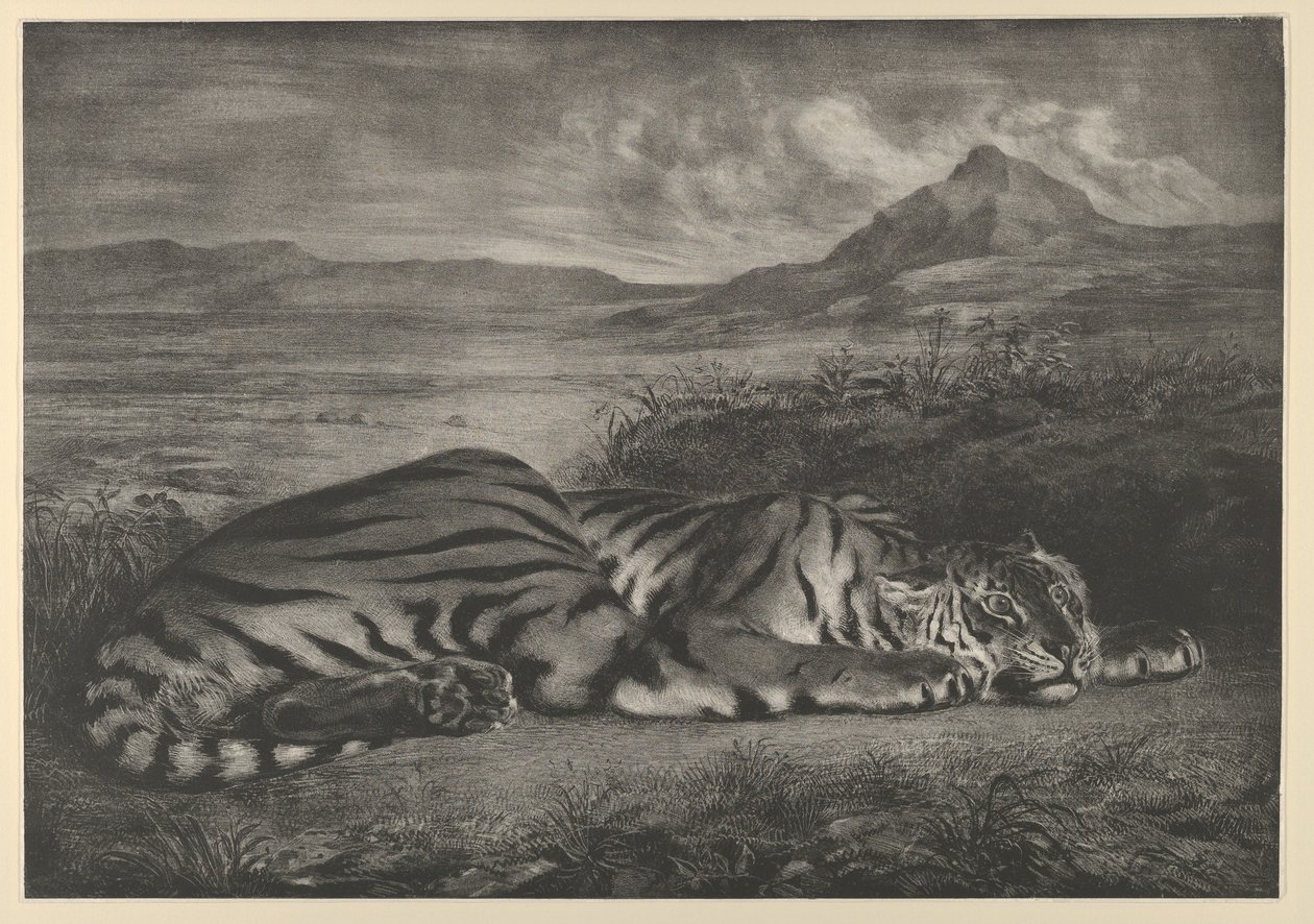 Tigre Reale, 1829 da Eugène Delacroix