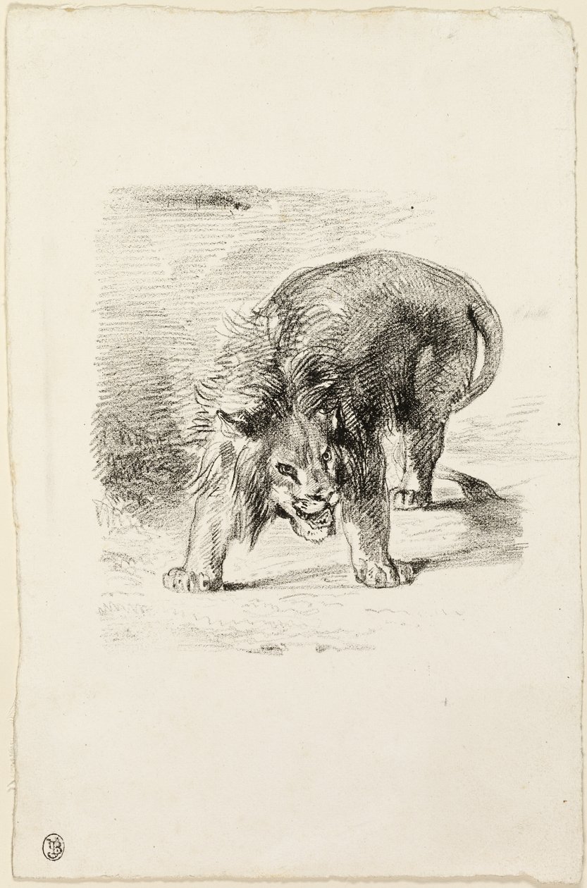 Leone in piedi da Eugène Delacroix