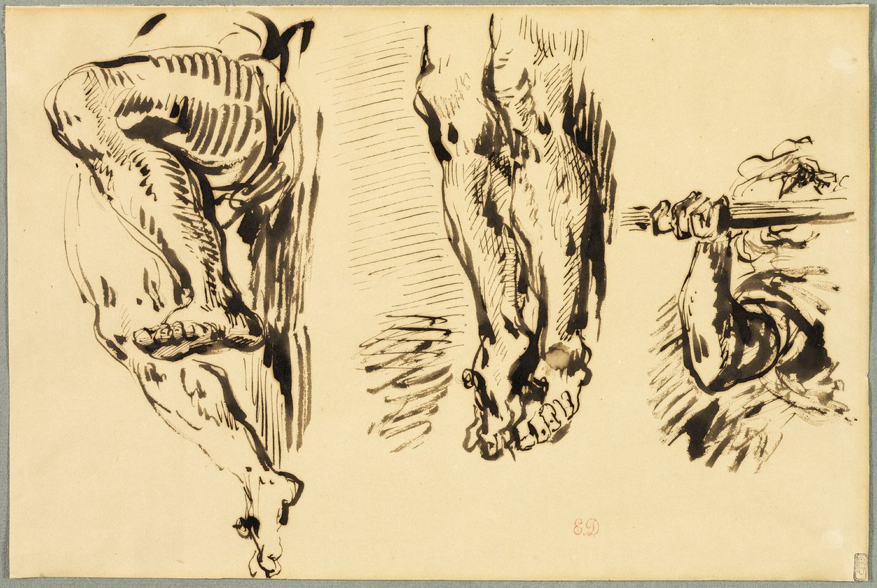Studio di Braccia e Gambe di Cristo Crocifisso da Eugène Delacroix