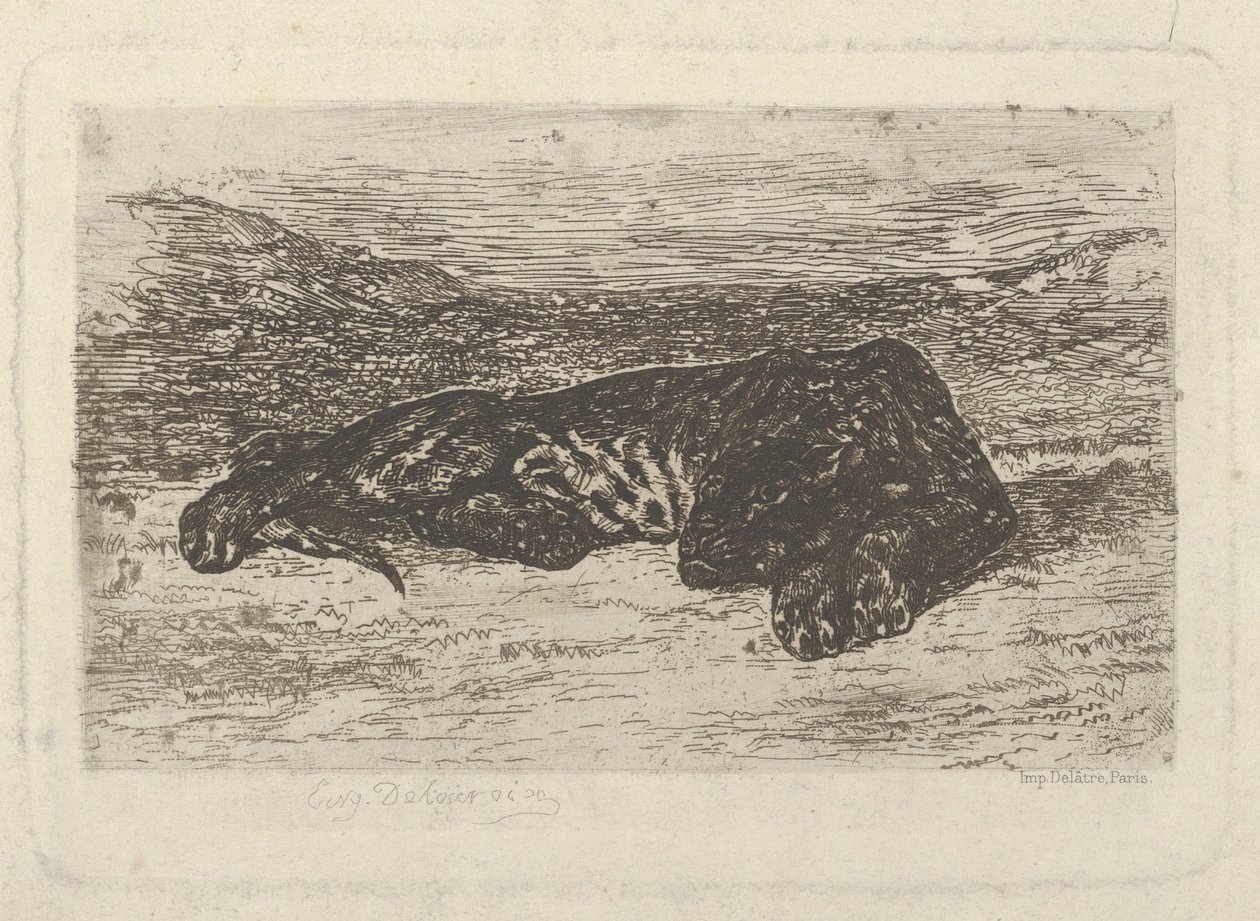 Tigre Distesa nel Deserto, 1846 da Eugène Delacroix