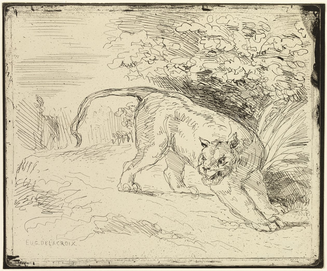 La tigre pronta per la primavera da Eugène Delacroix
