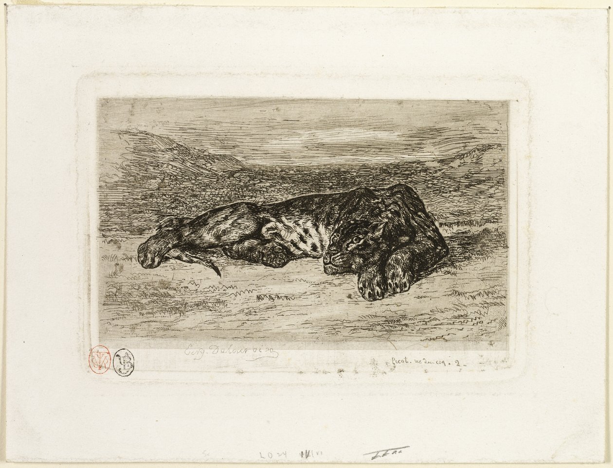 Tigre che Riposa nel Deserto da Eugène Delacroix