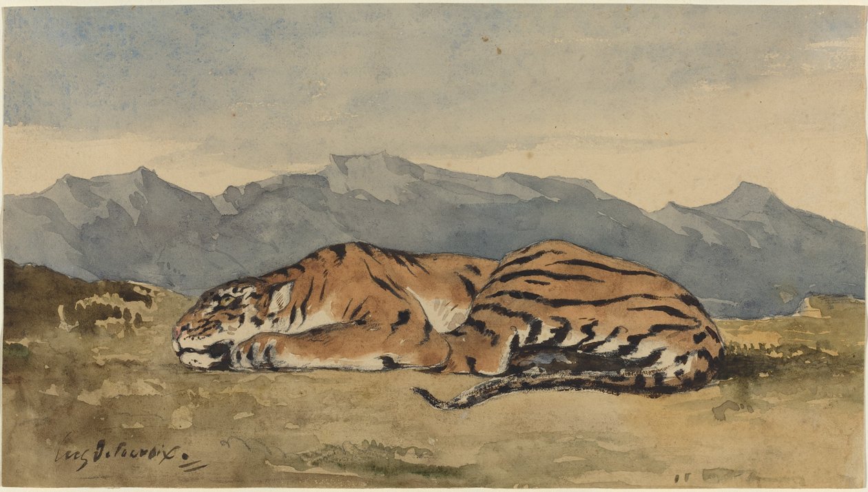 Tigre, c. 1830 da Eugène Delacroix