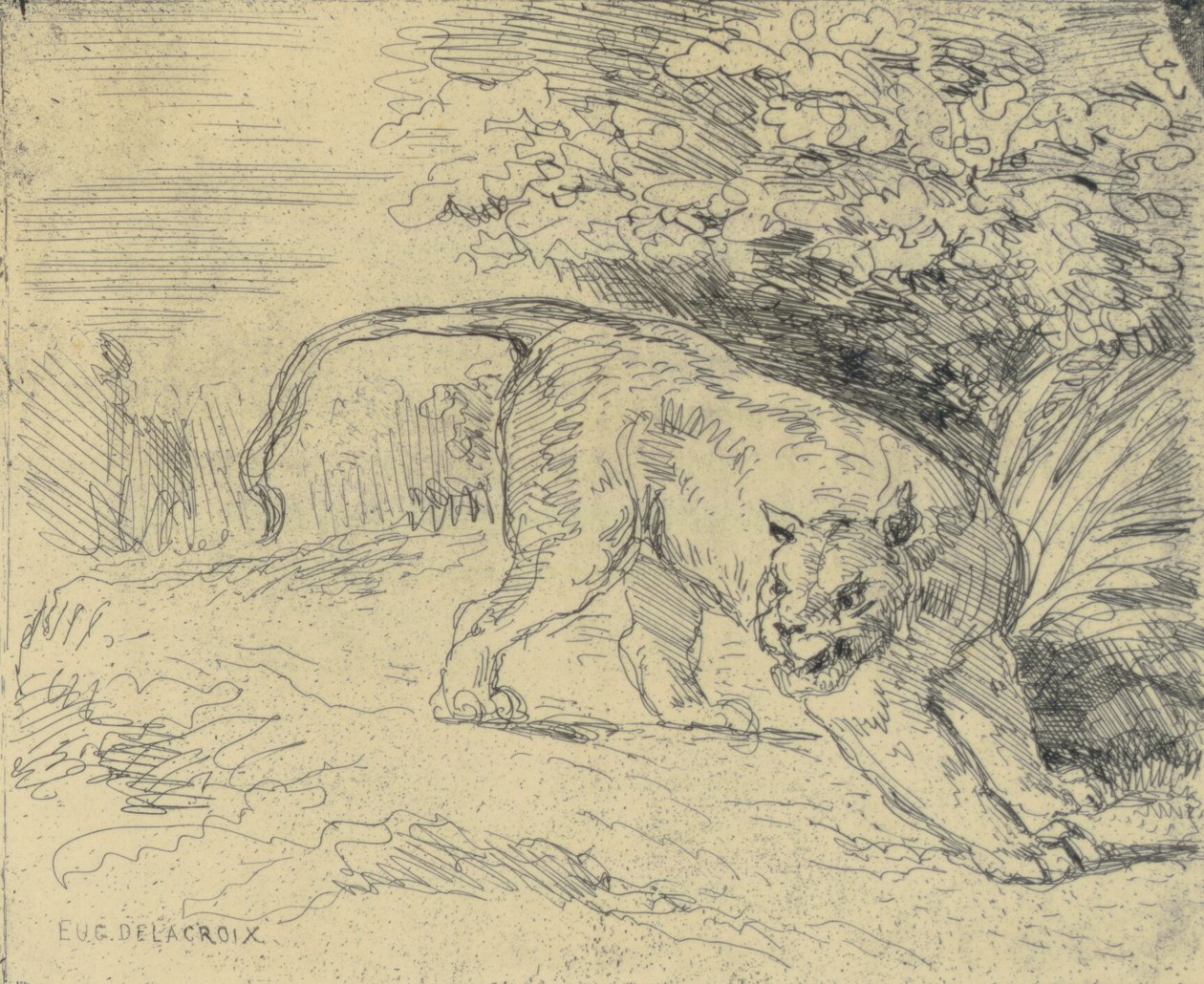 Tigre in arrivo da Eugène Delacroix