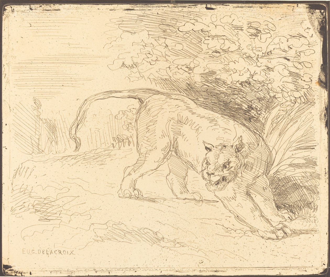 Tigre in attesa, 1854 da Eugène Delacroix