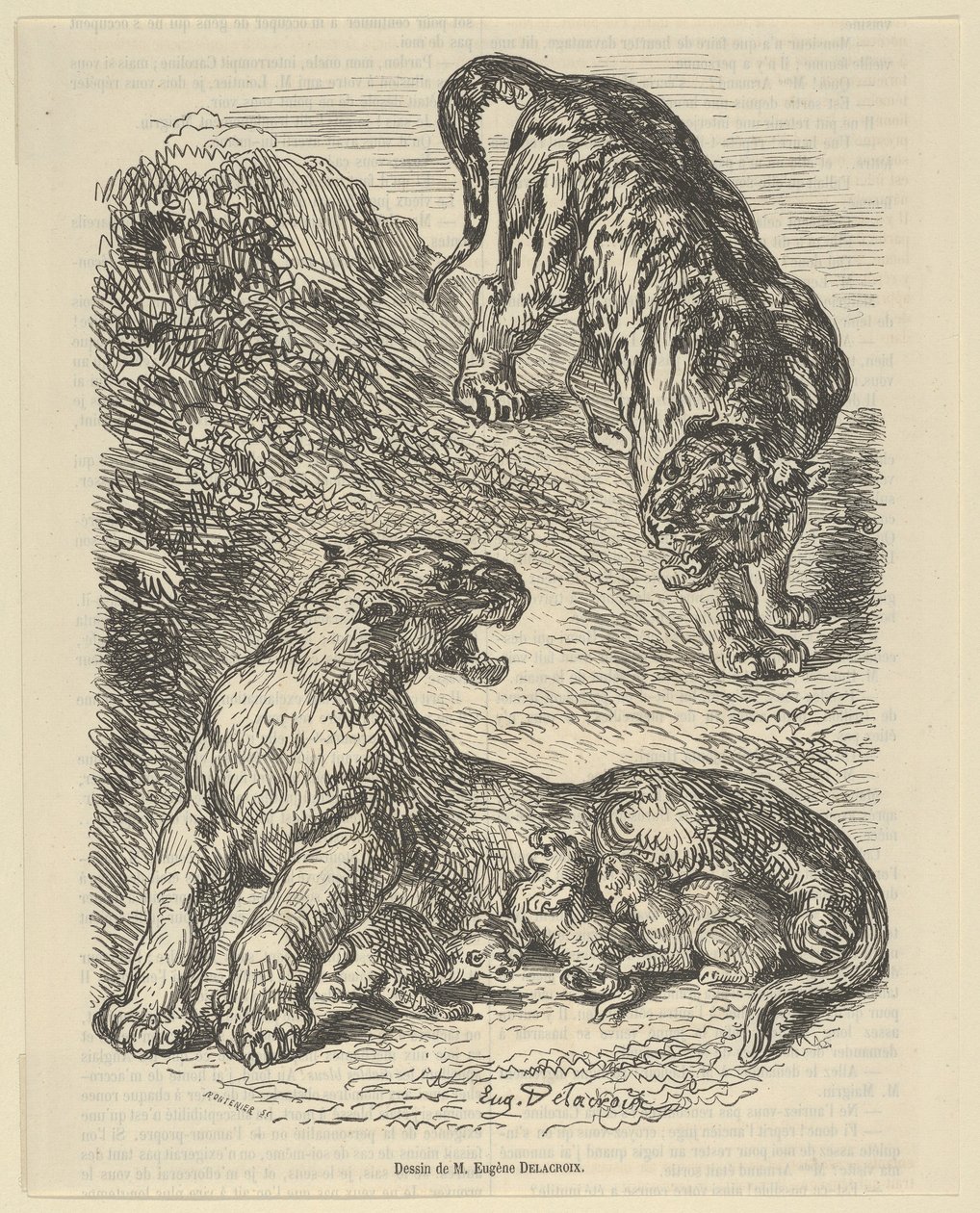 Tigre attaccata da una tigre mentre allatta i suoi piccoli, 1853 da Eugène Delacroix