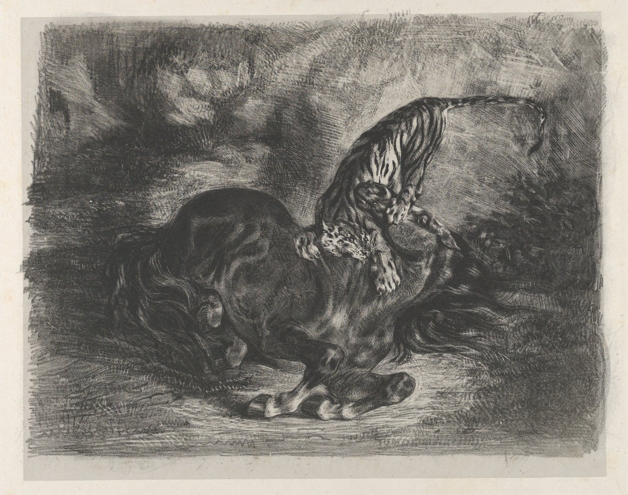 Cavallo selvaggio abbattuto da una tigre da Eugène Delacroix