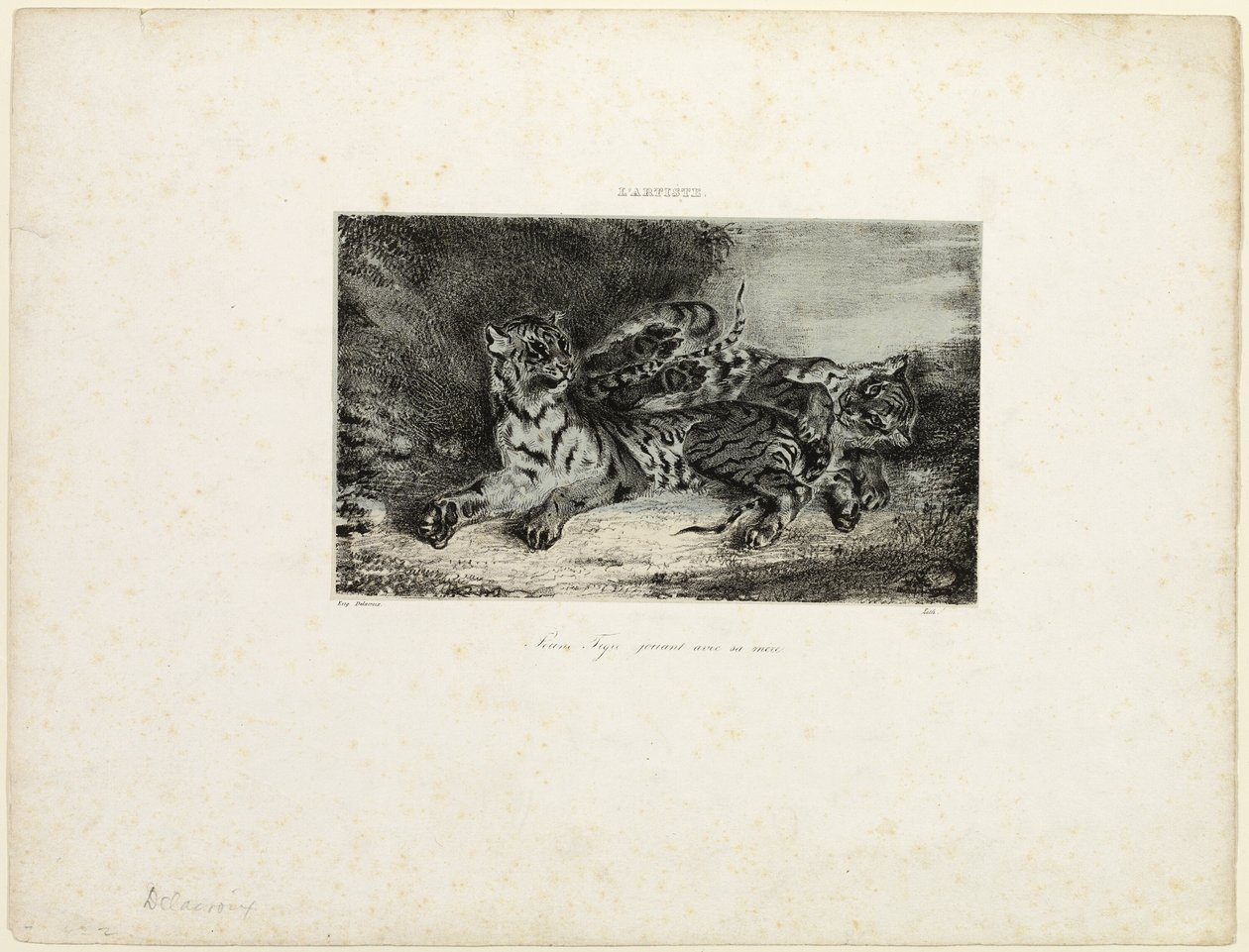 Giovane tigre che gioca con la madre da Eugène Delacroix