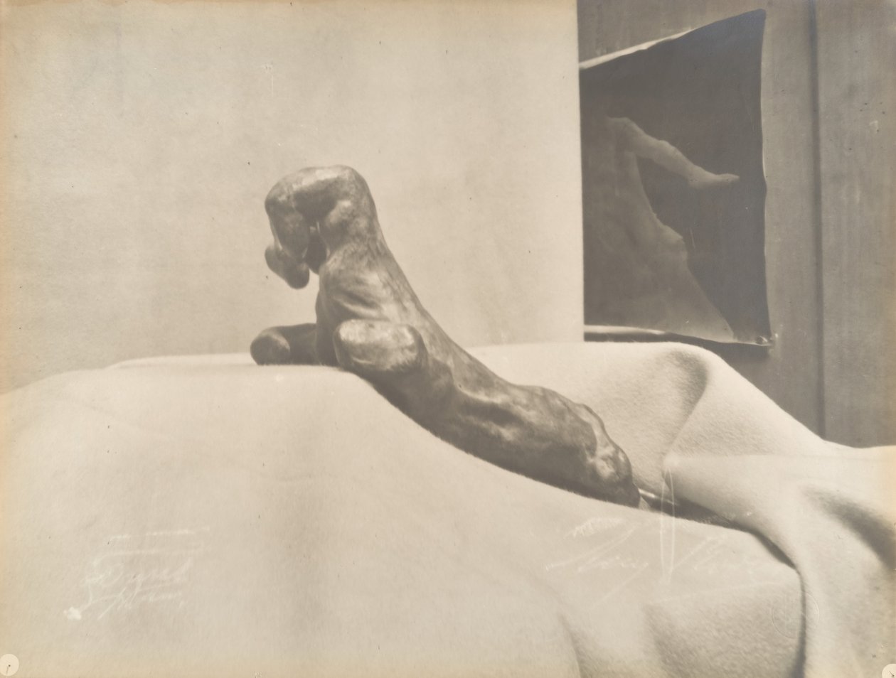 [La Mano Stretta di Auguste Rodin], prima del 1898 da Eugène Druet