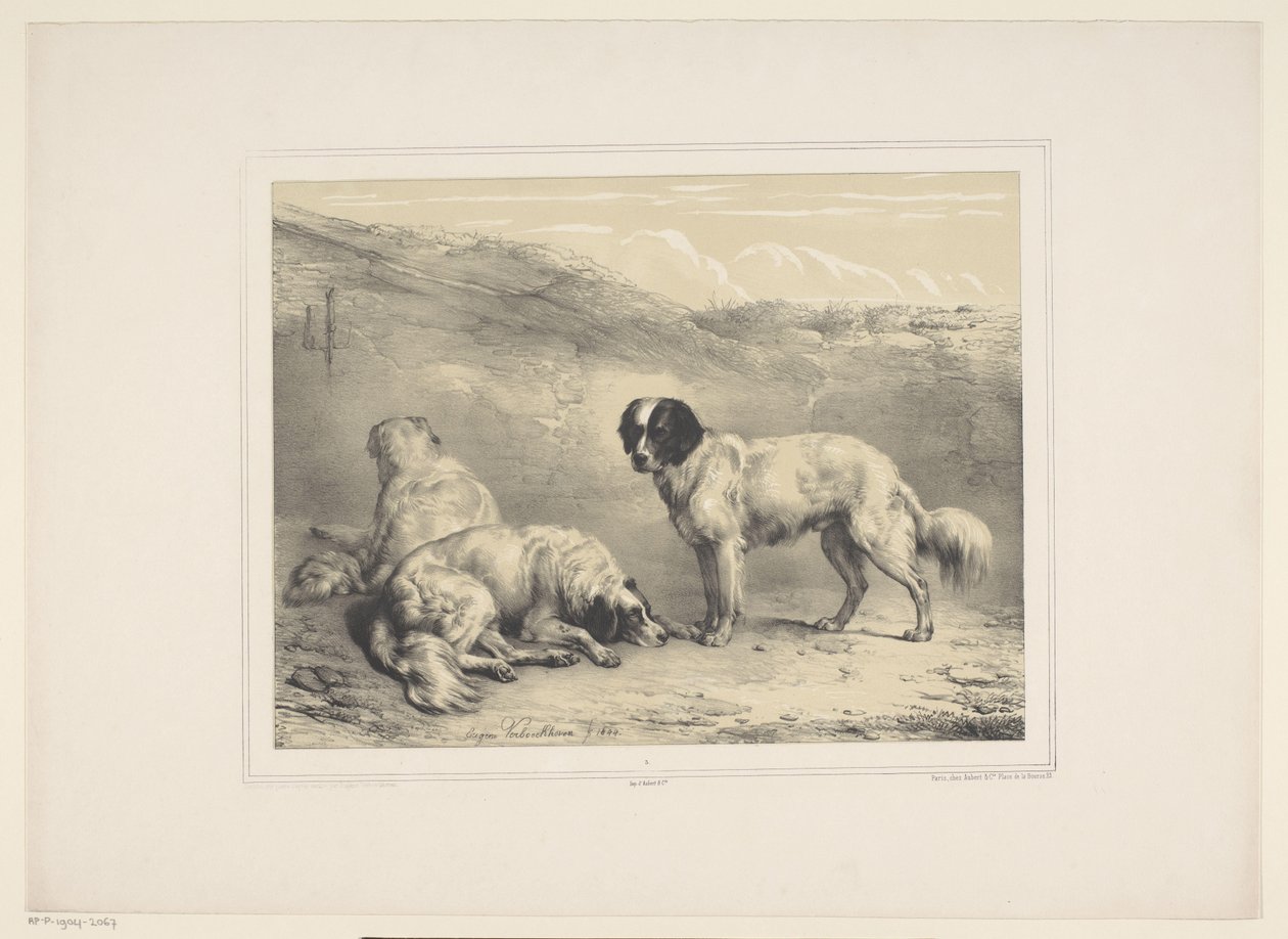 Tre cani (Diverse animali domestici) (Treize sujets d