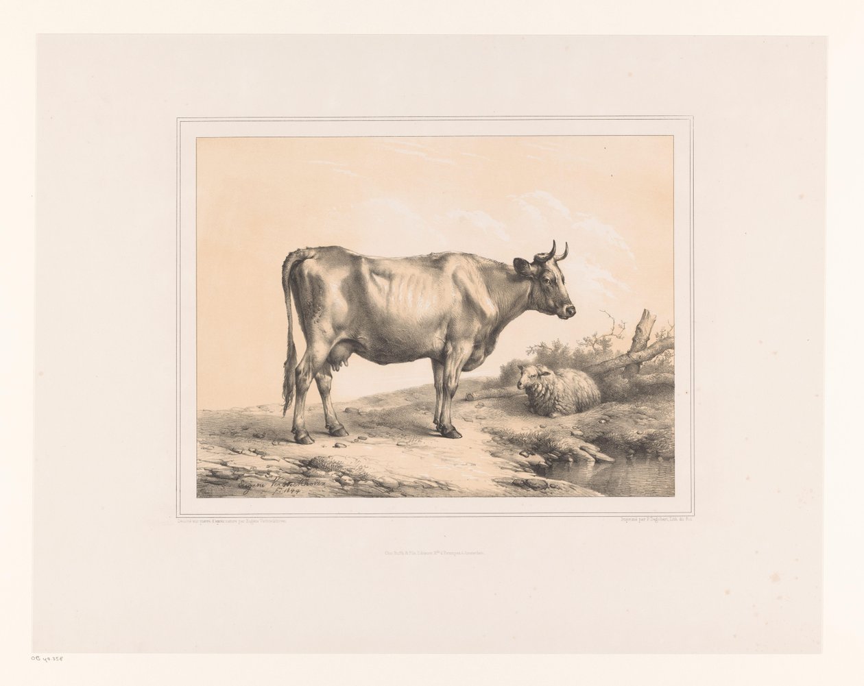 Mucca e pecora in un paesaggio da Eugène Verboeckhoven