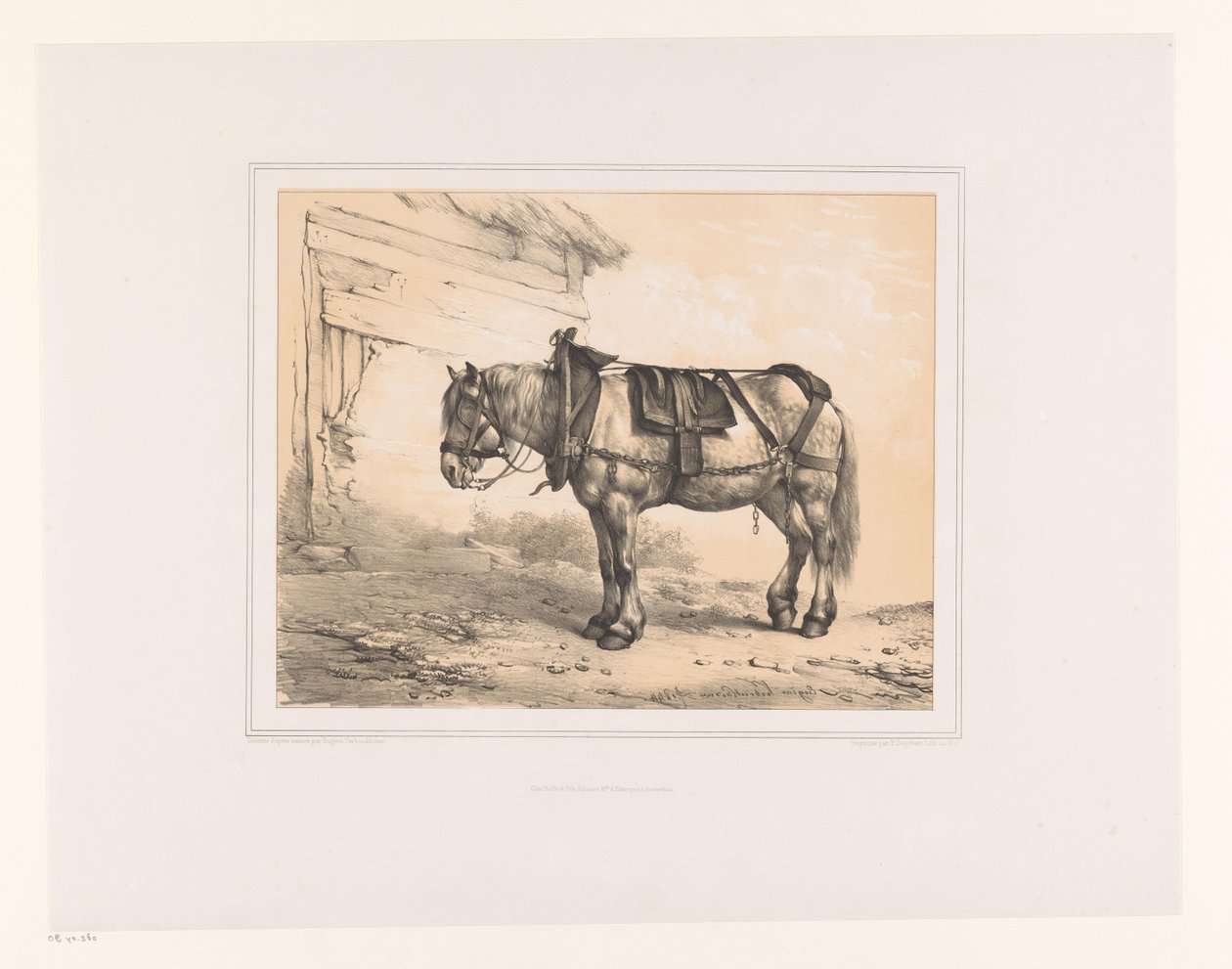 Cavallo con sella e cavezza da Eugène Verboeckhoven