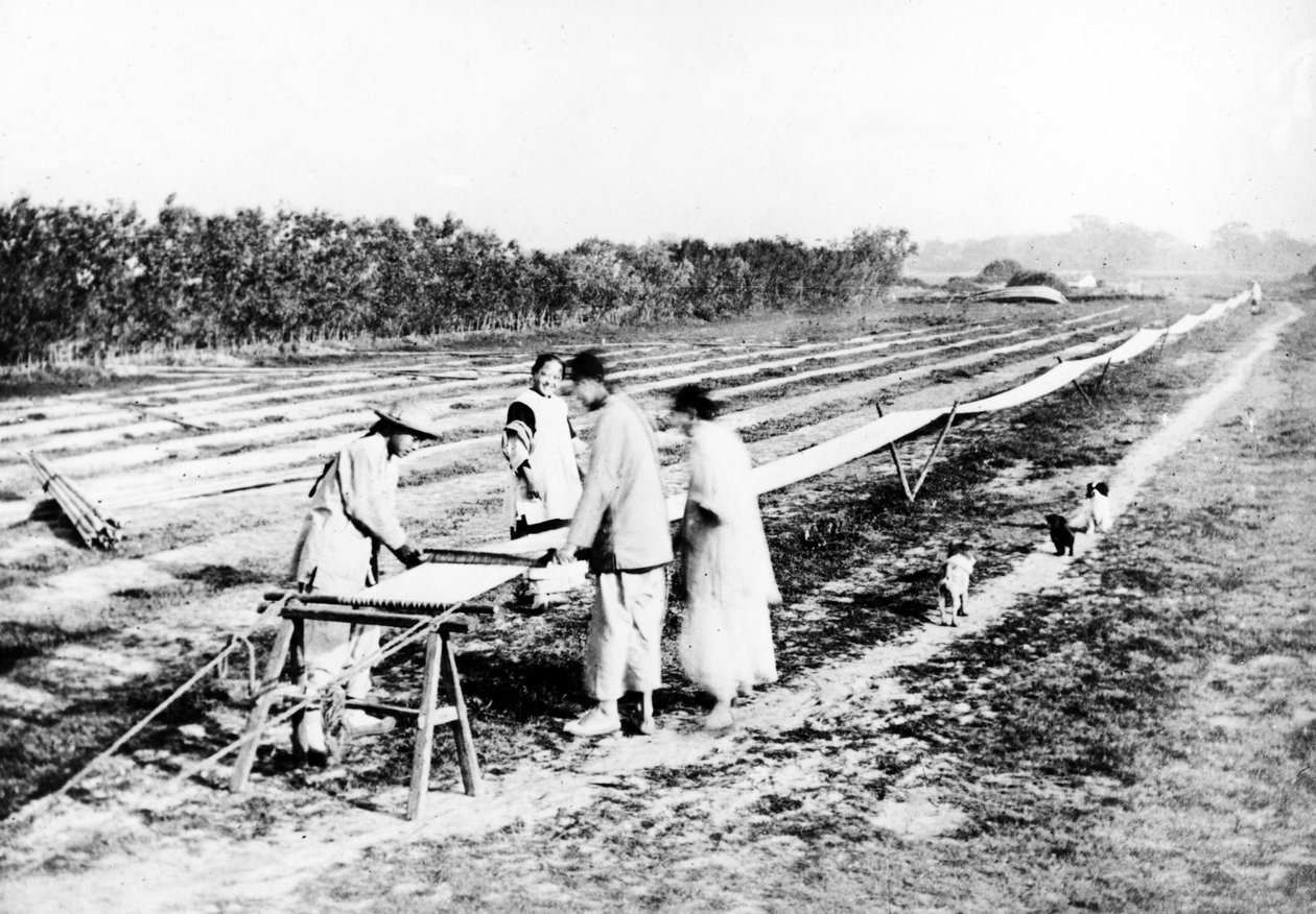 Tessitori cinesi, c.1870-80 da European Photographer