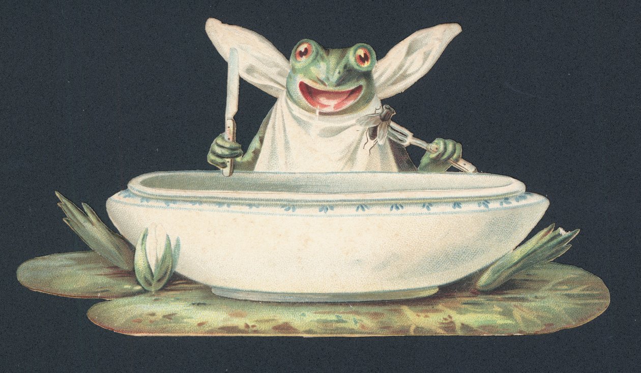 Una rana che mangia una mosca (litografia a colori) da European School
