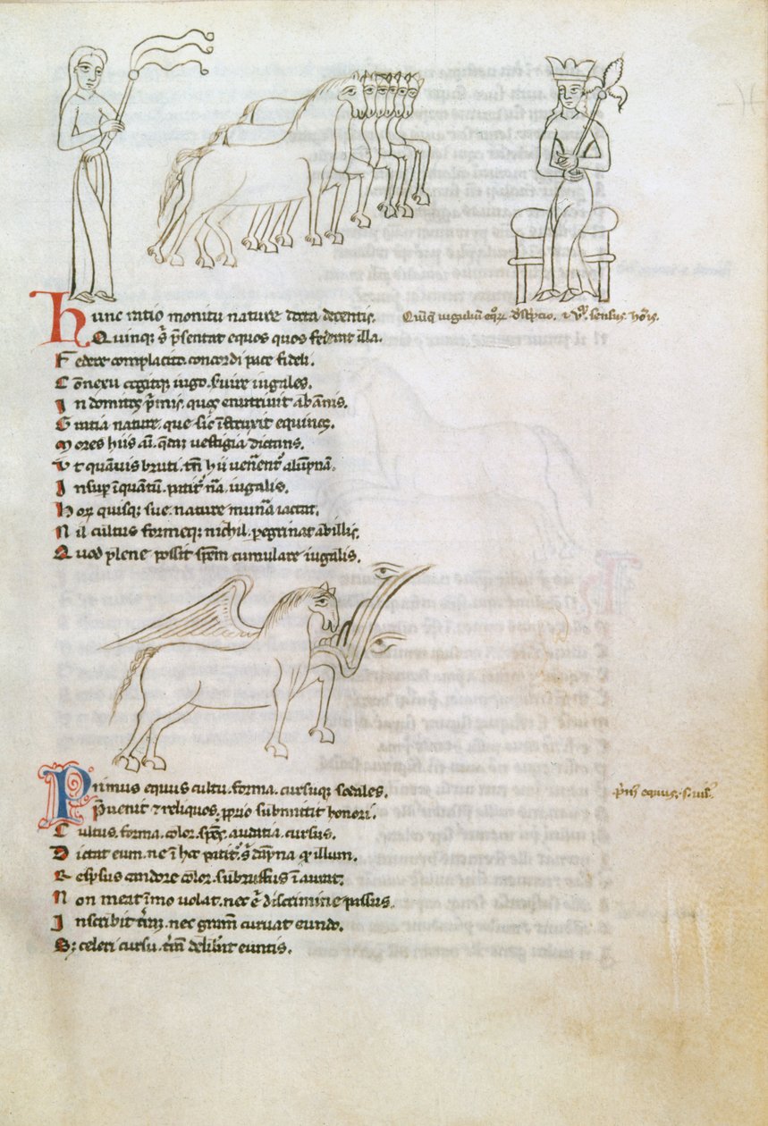 Bestiario: il cavallo da European School