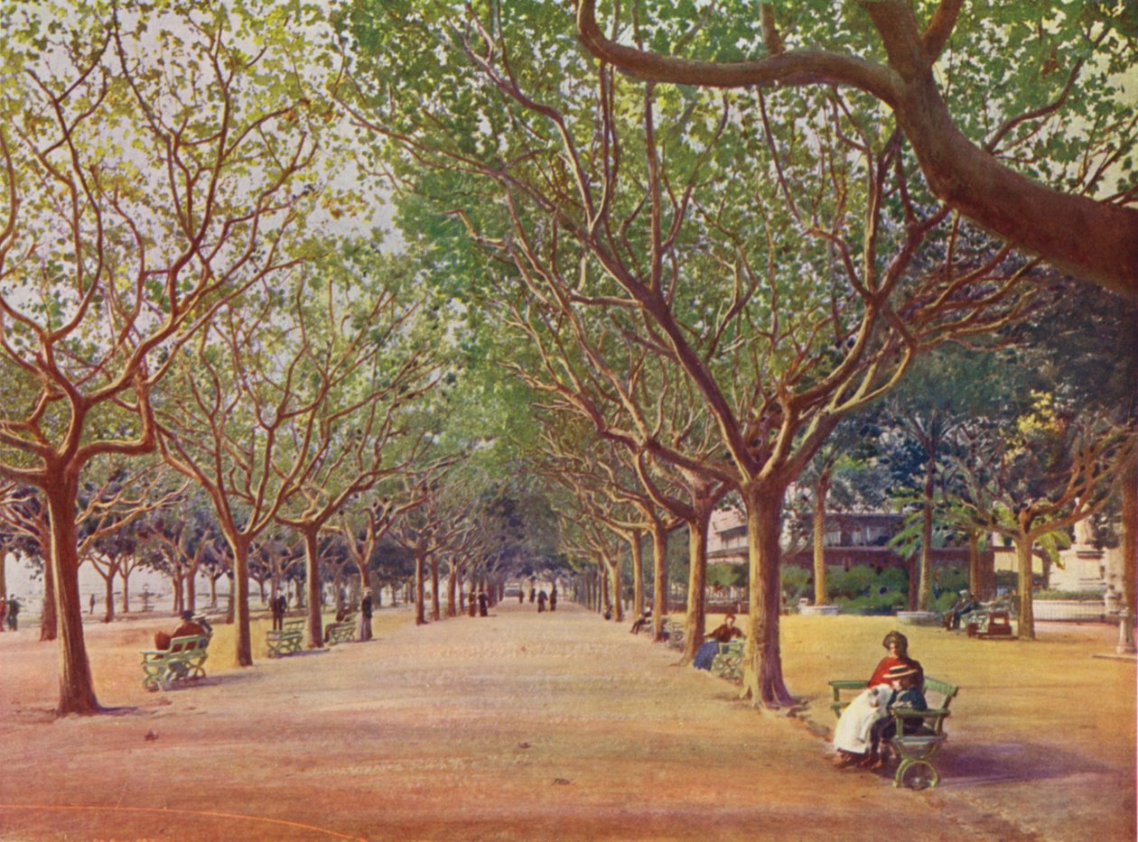 Cannes, Les Allees (litografia a colori) da European School