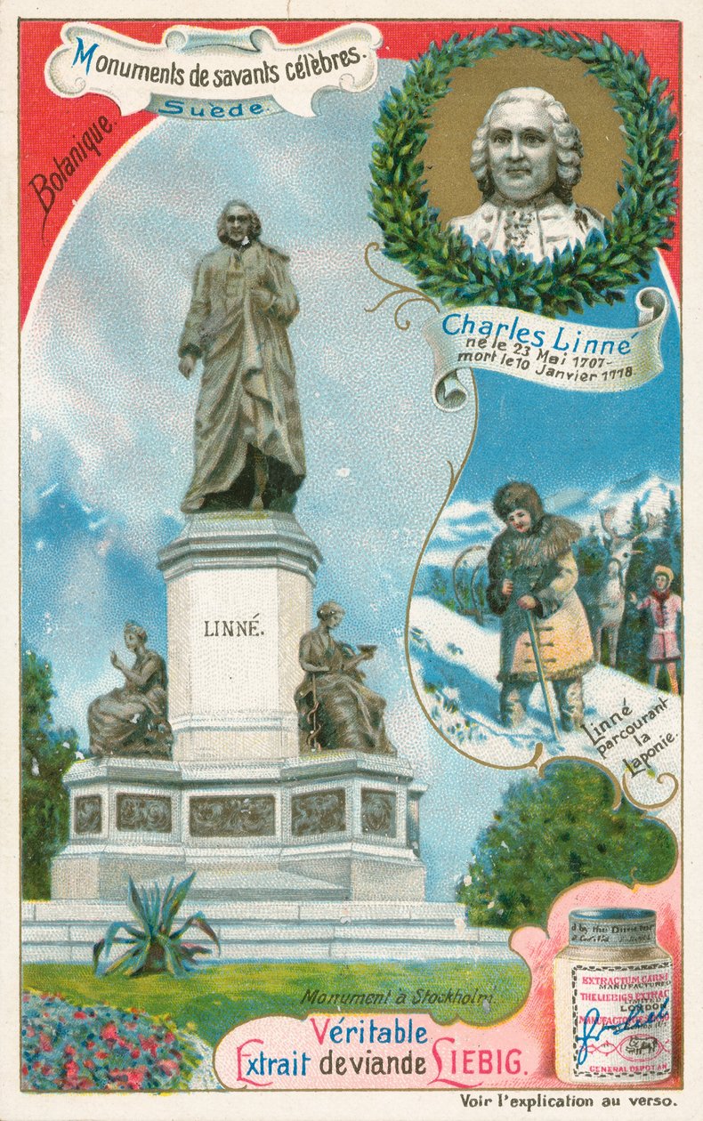 Carl Linnaeus, carta Liebig, inizio XX secolo (cromo) da European School
