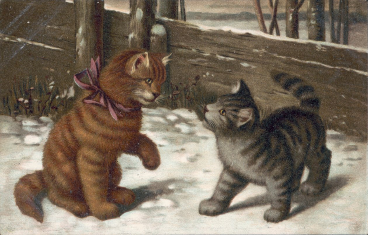 Cartolina gatto (litografia a colori) da European School