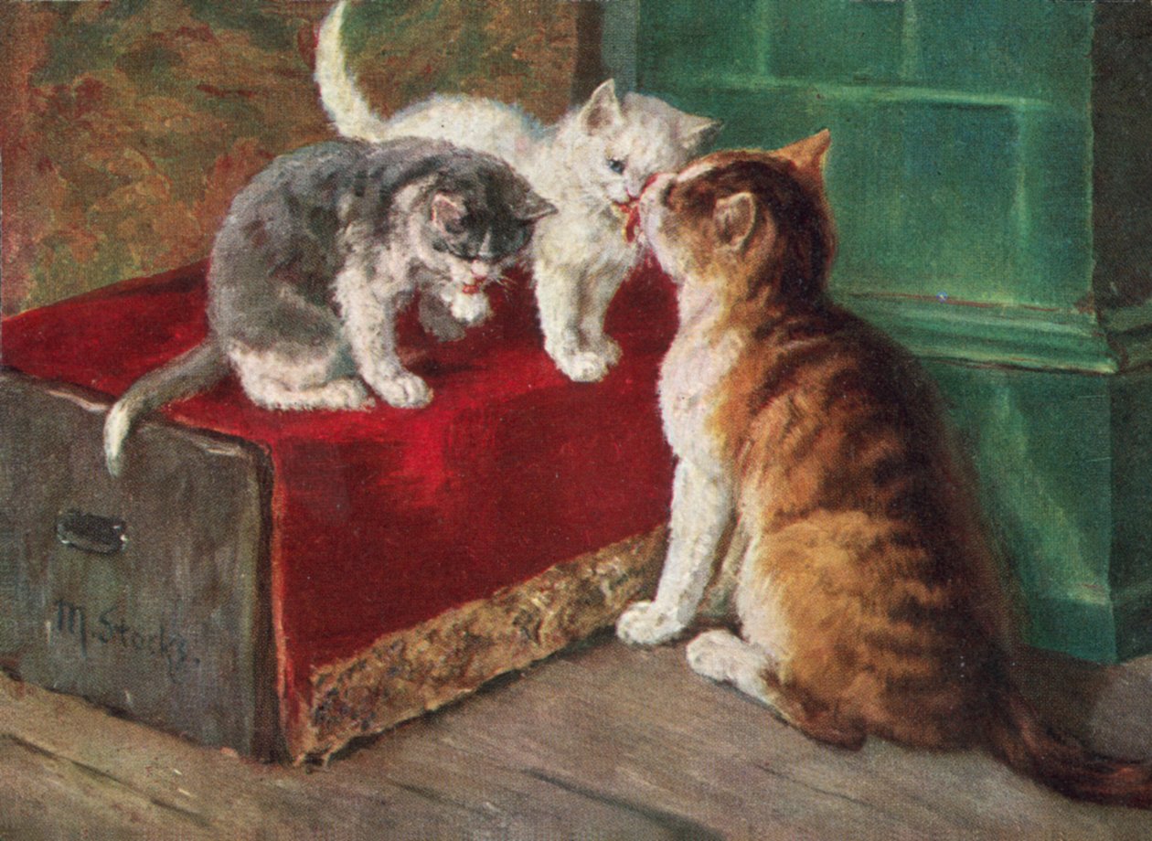 Cartolina gatto (litografia a colori) da European School