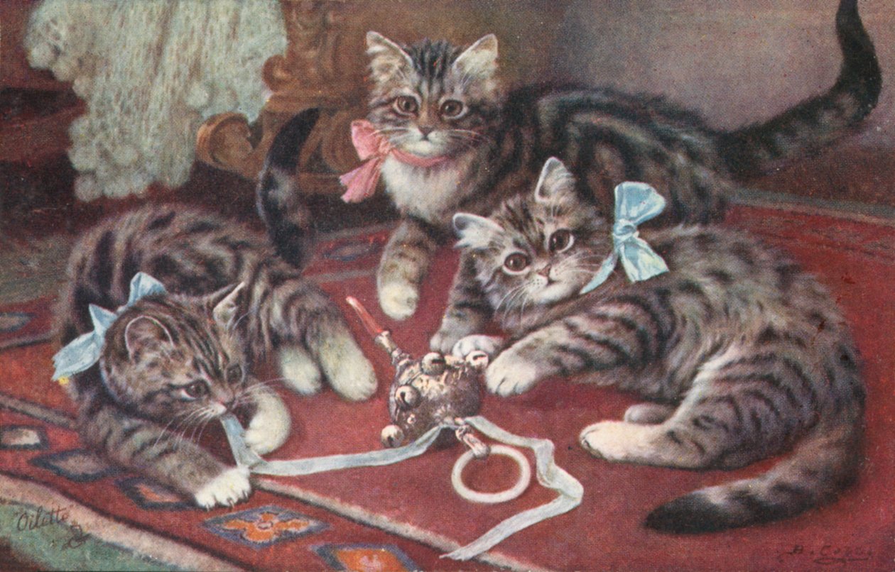 Cartolina gatto (litografia a colori) da European School