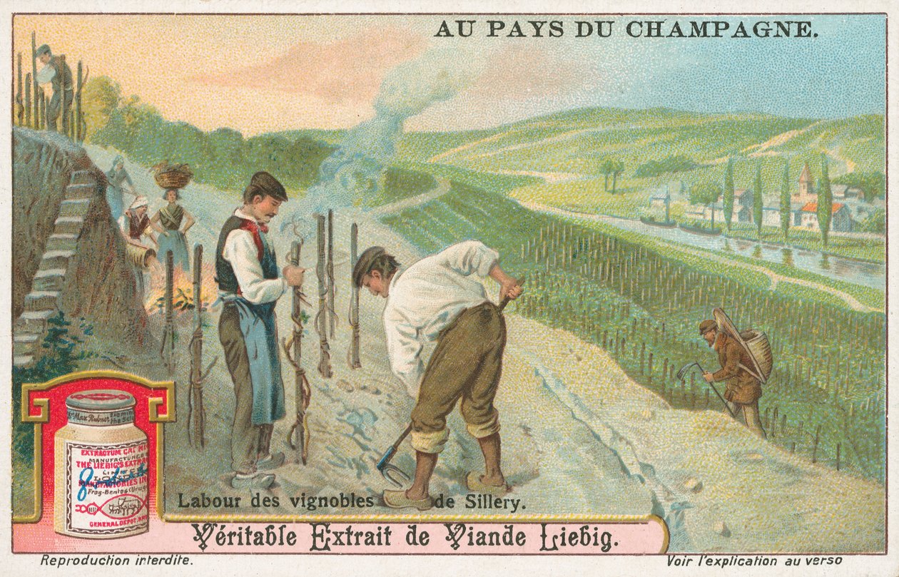 Champagne, carta Liebig, inizio XX secolo (cromo) da European School