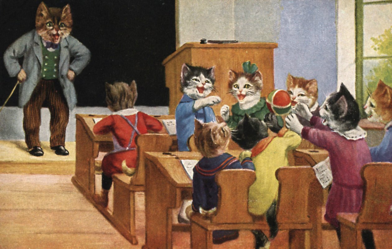 Aula di gatti (litografia a colori) da European School