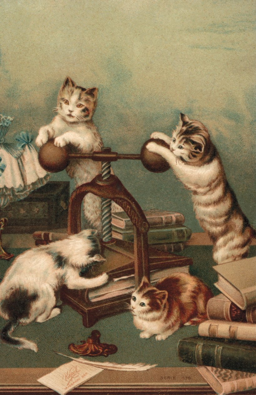 Gatti a fumetti, libri a stampa (litografia a colori) da European School