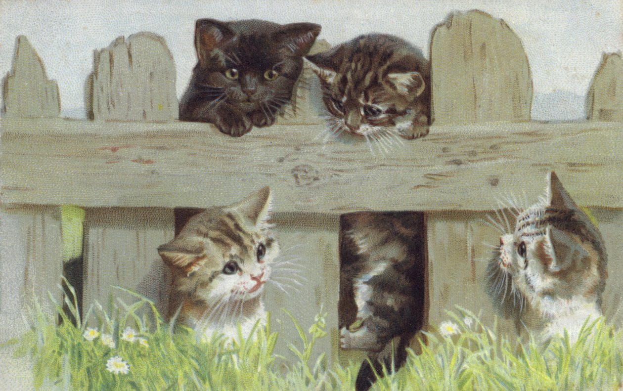Quattro gattini vicino a un recinto (cromolito) da European School