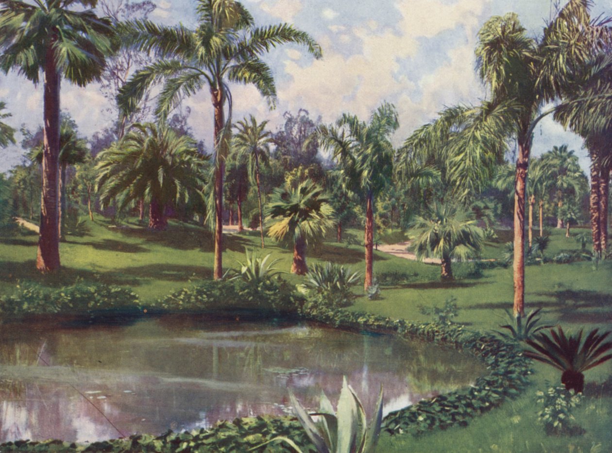 Monte-Carlo, Le Jardin du Casino (litografia a colori) da European School