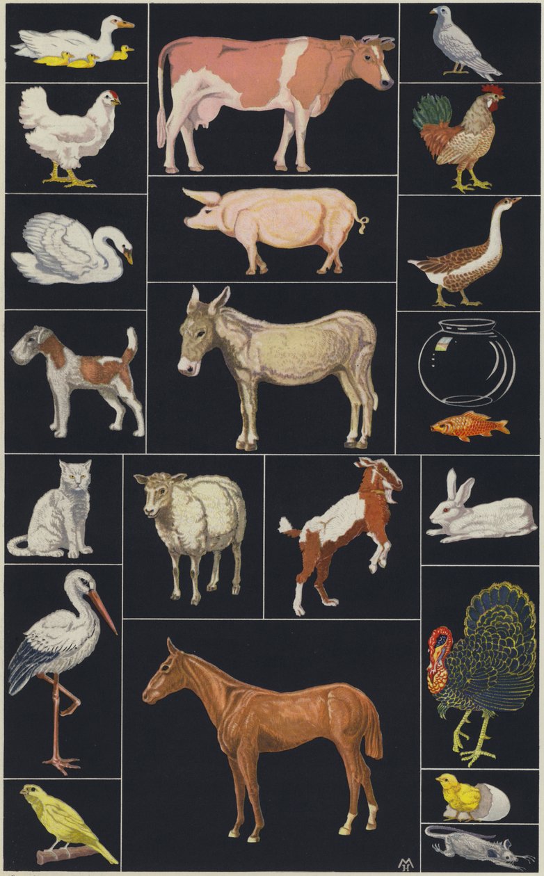 Pagina del libro illustrato per bambini, Animali (litografia a colori) da European School