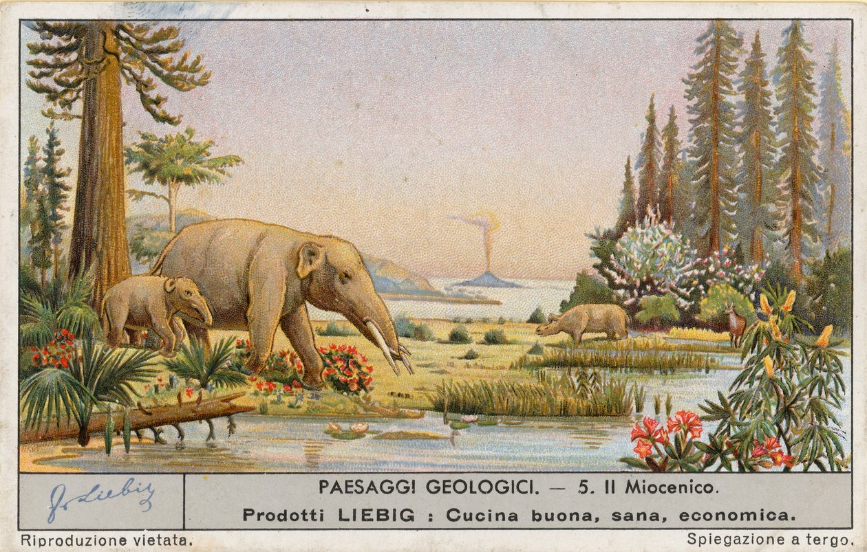 Mondo preistorico, carta Liebig, inizio XX secolo (cromo) da European School