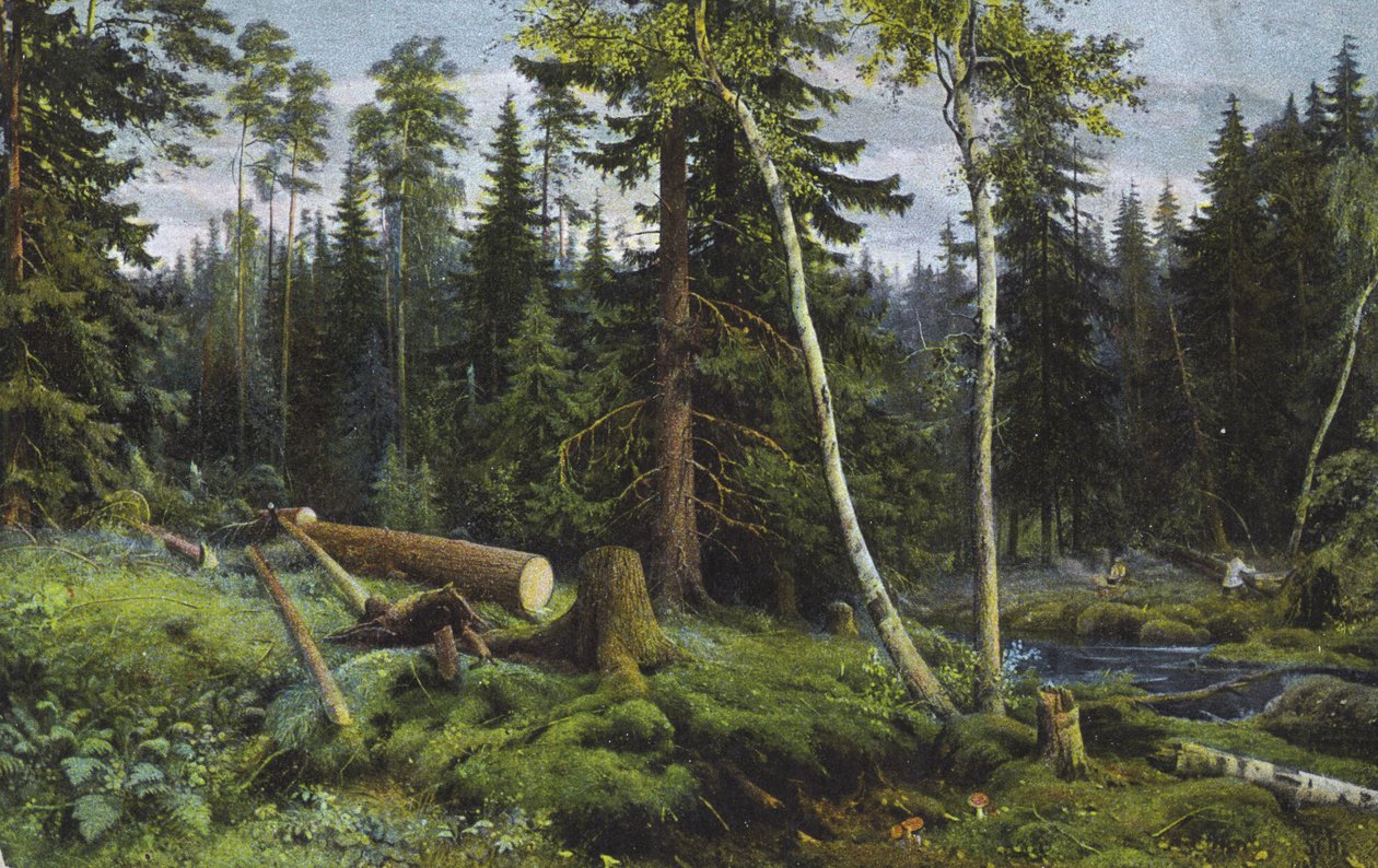 Scena in una foresta con alberi abbattuti (litografia a colori) da European School