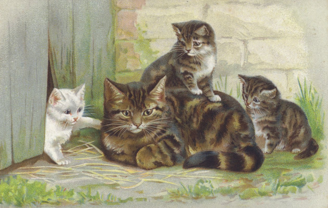 Gatto soriano con tre gattini (cromolito) da European School