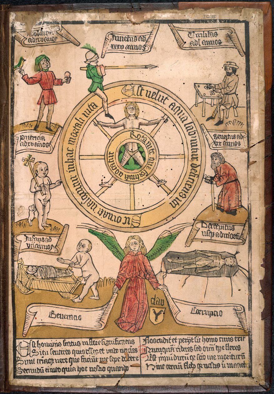 La Ruota della Fortuna, da 