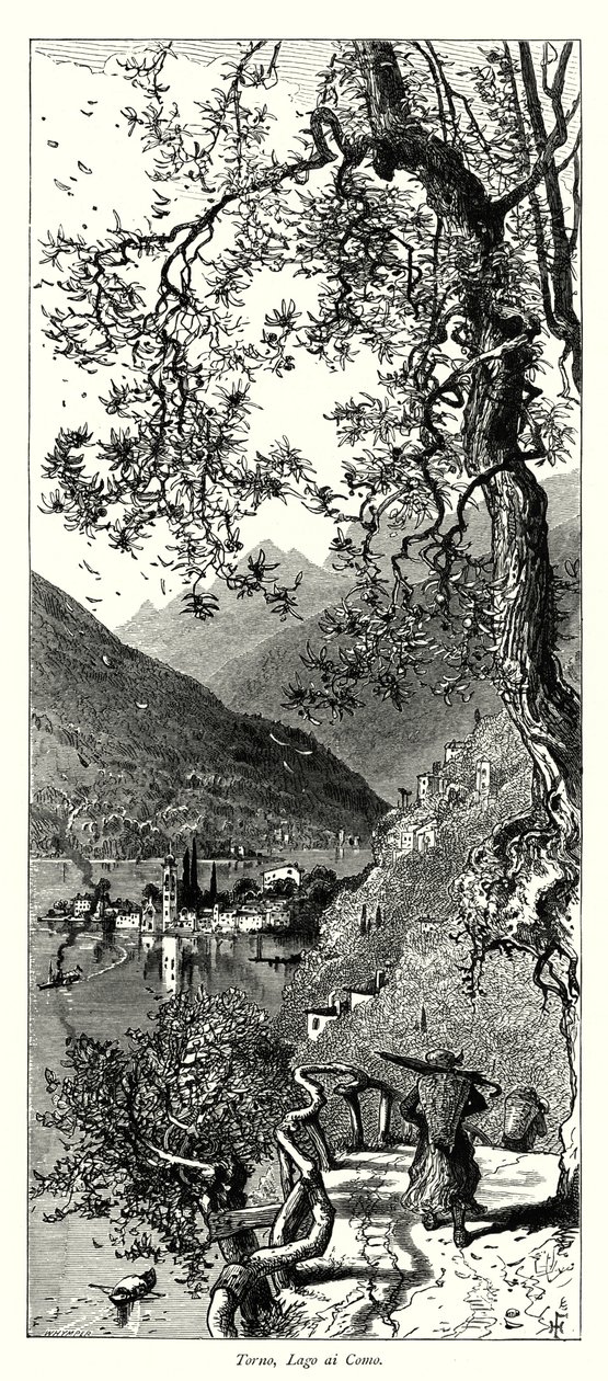 Torno, Lago ai Como (engraving) da European School