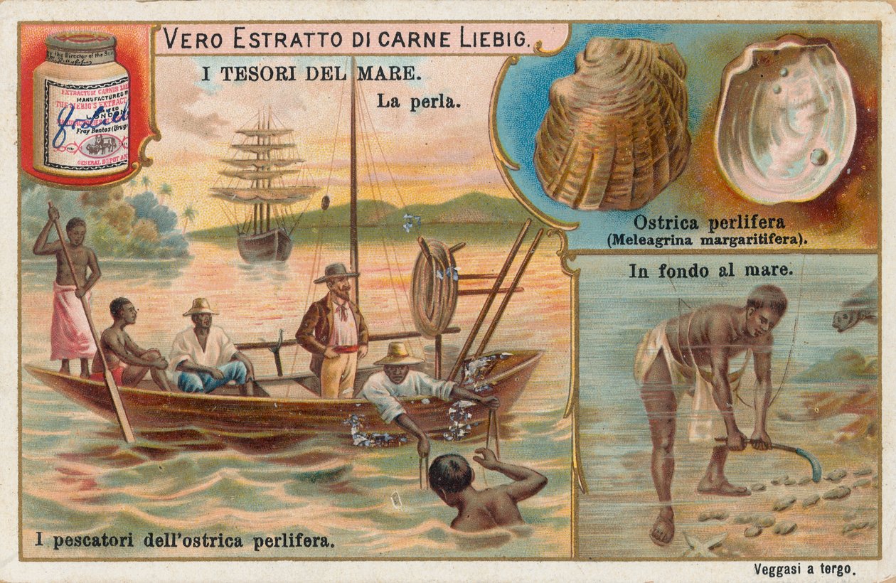 Tesori del mare, carta Liebig, inizio XX secolo (cromo) da European School